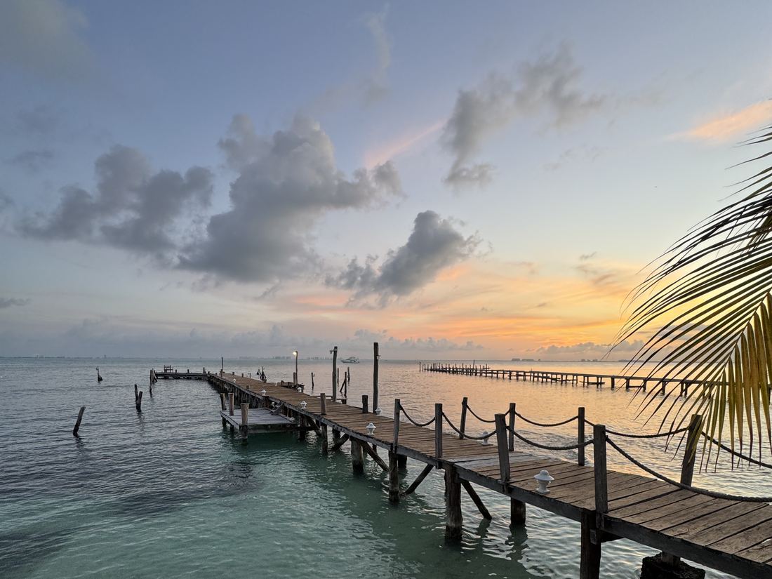 Twilight pier under a palm frond