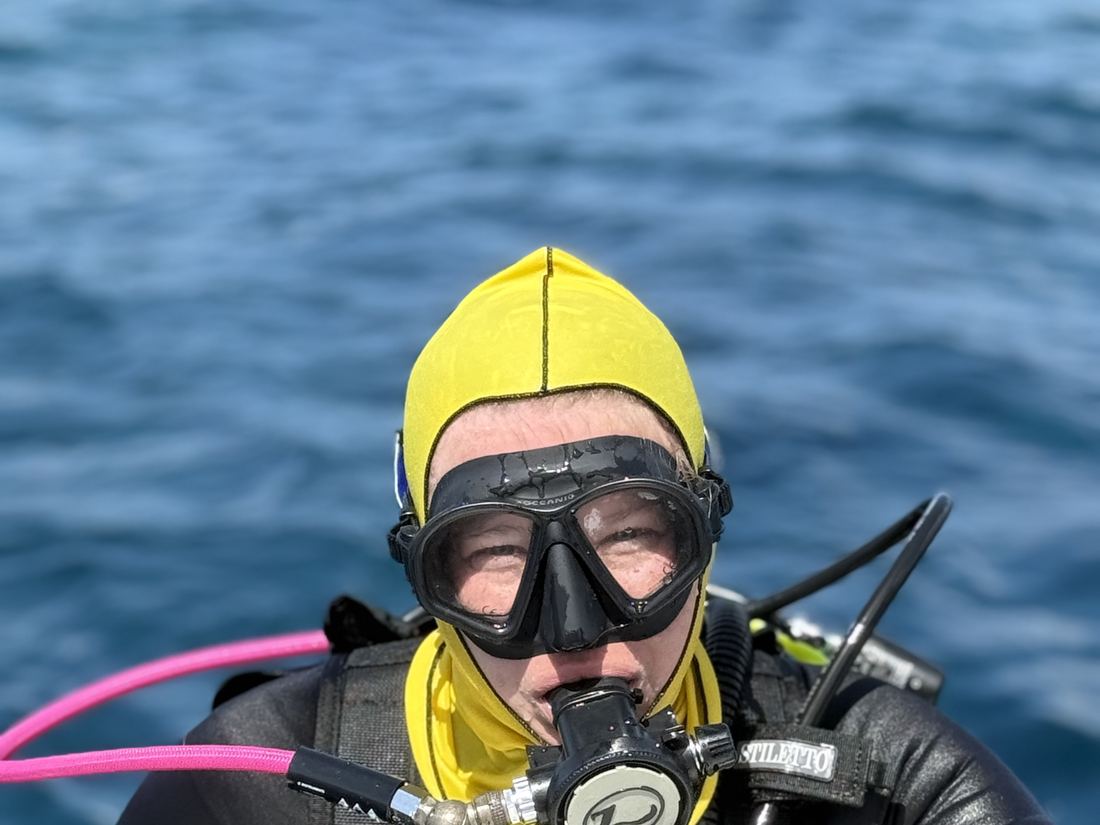 Diver in a yellow hood above the reef